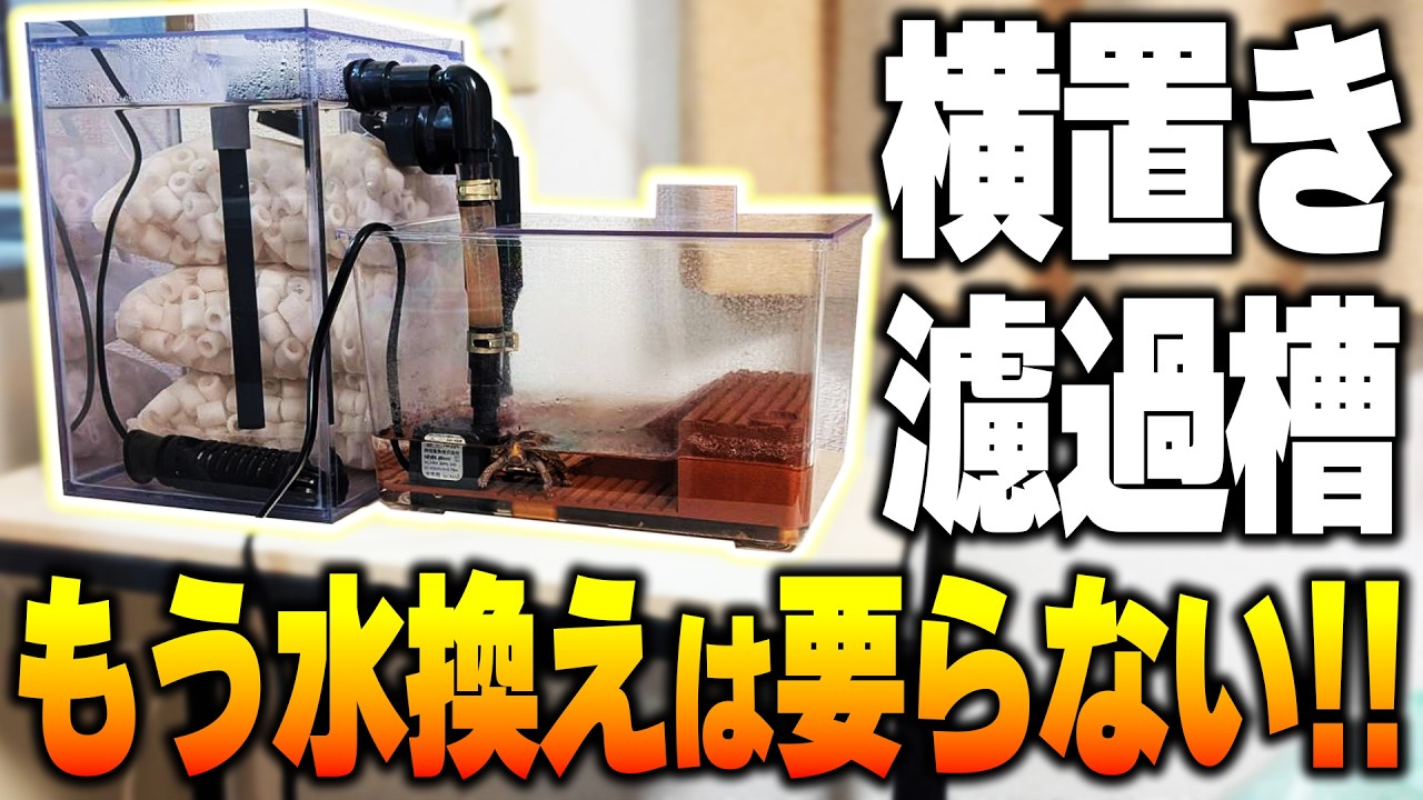 【水深3cm】試作中の革命的横置きフィルター！低水位でも濾過が回る！【小亀飼育】