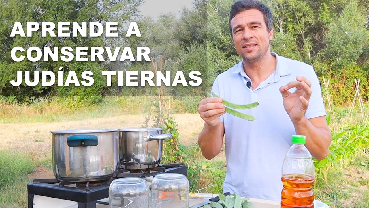 APRENDE A CONSERVAR JUDÍAS TIERNAS