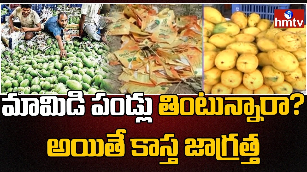 మామిడి పండ్లు తింటున్నారా? అయితే రసాయనాలతో కాస్త జాగ్రత్త | Mango Market Hyderabad | hmtv