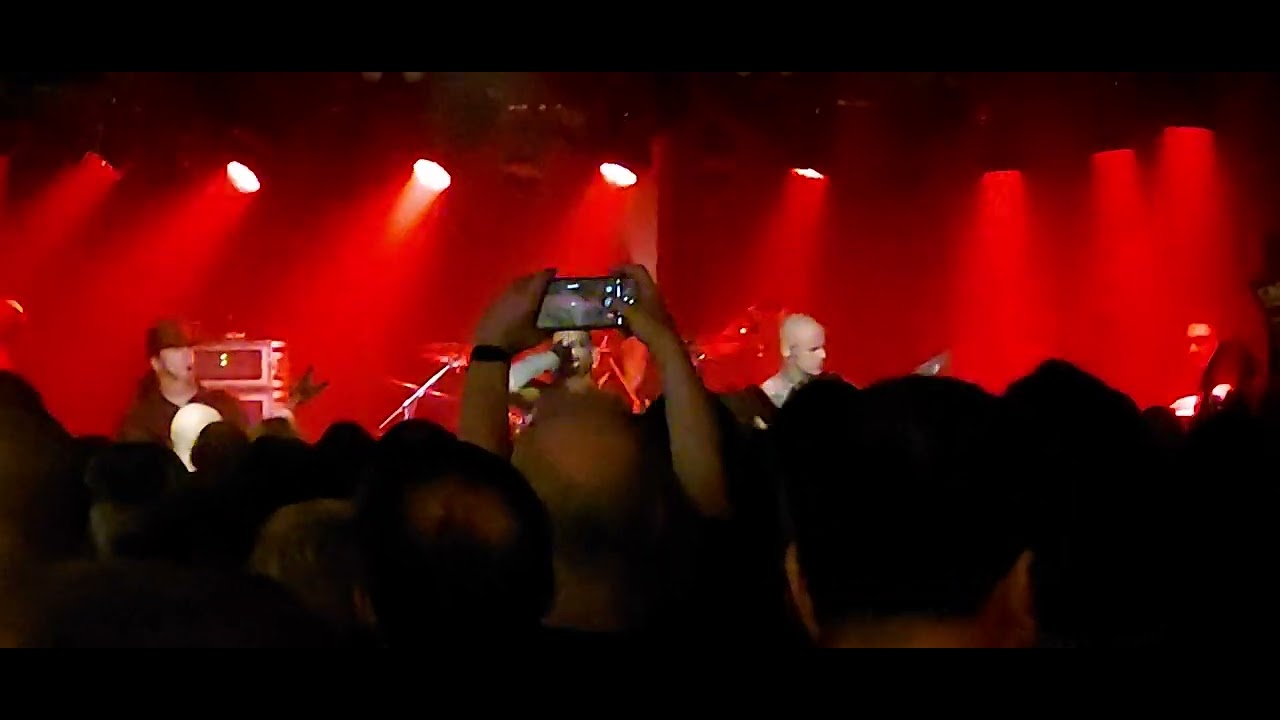Terrorizer live in Weinheim 