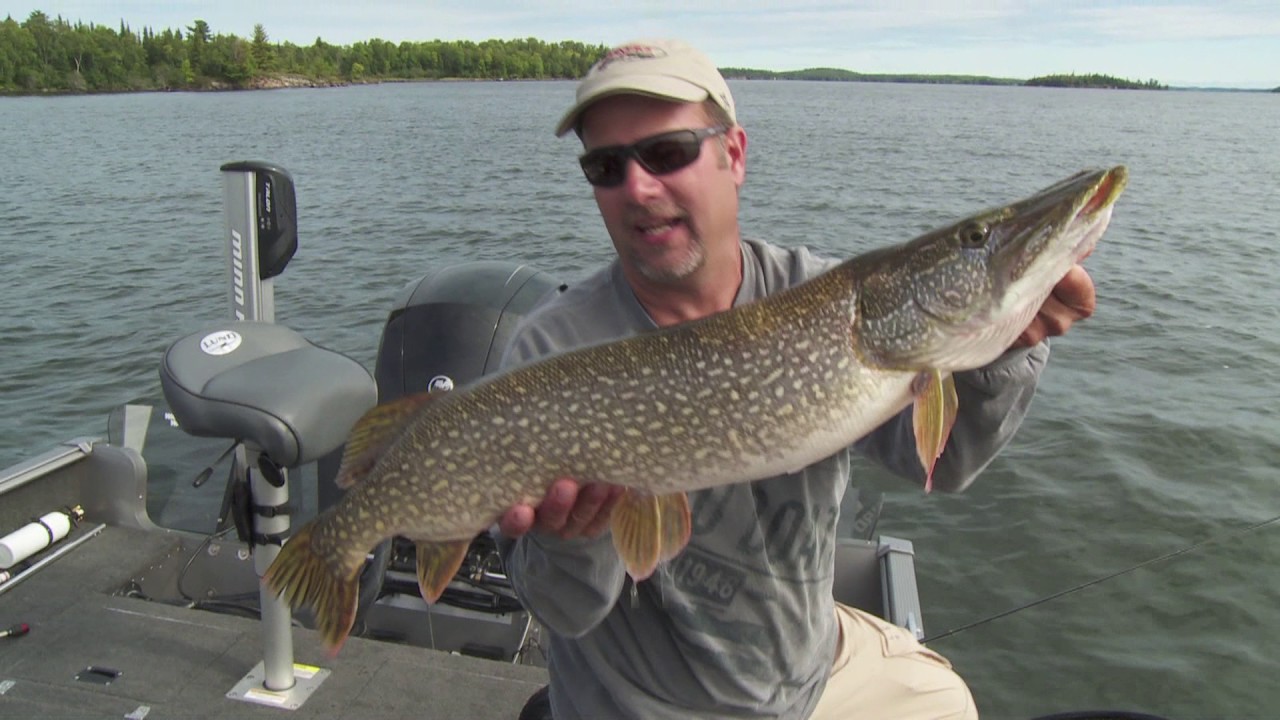 Casting for big pike!