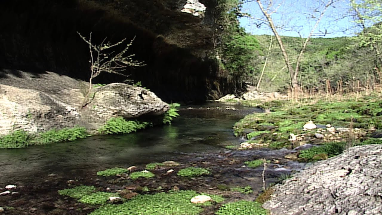 Streams and Rivers: Texas Aquatic Science- Chapter 8