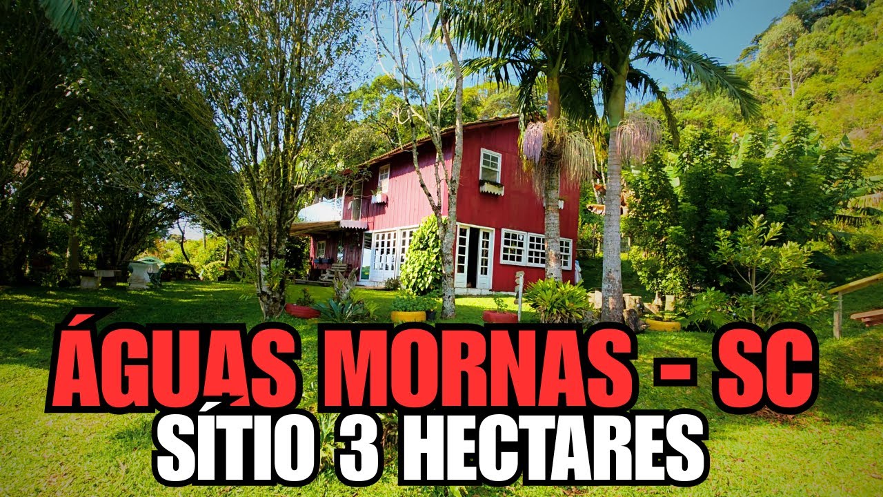 [VENDIDO] SÍTIO 3 HECTARES EM ÁGUAS MORNAS - SC | AÇUDES | PASTAGEM | POMAR