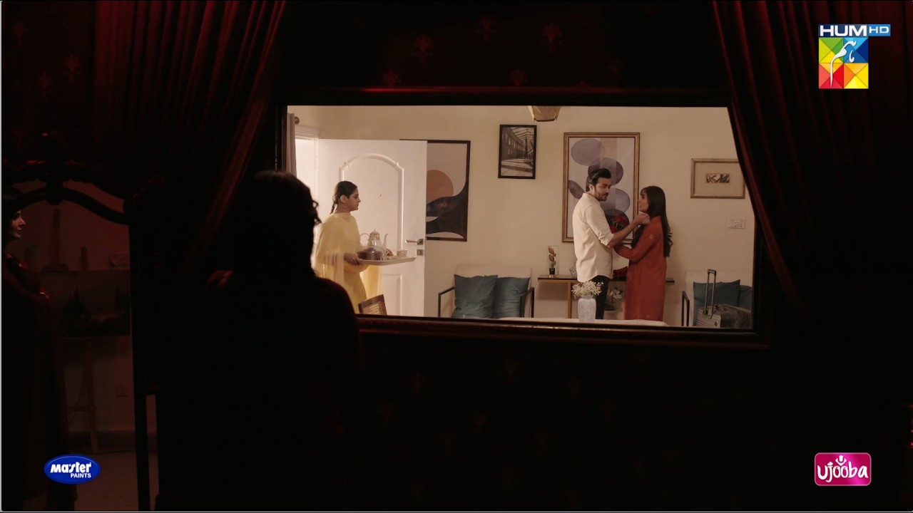 Mere Itny Qareeb Na Aao Koi Dekh Le Ga...! Muamma - HUM TV