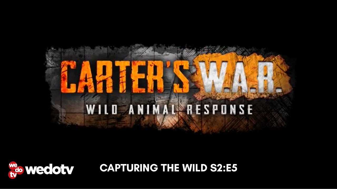 Capturing the Wild | Carter's W.A.R. S2/E5 | wedotv