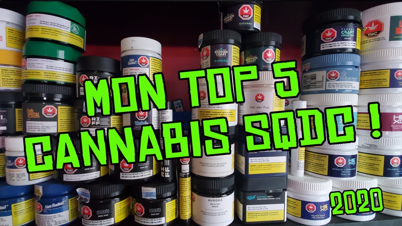 Mon TOP 5 Cannabis SQDC ! Mais j'ai trich&eacute; .. My top five 
