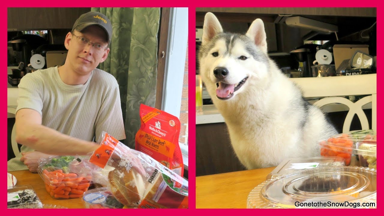 A #PAWTY and NORTHERN LIGHTS SURPRISE!