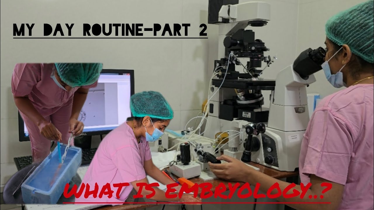 My day routine- Part 2... What Embryologist does..??