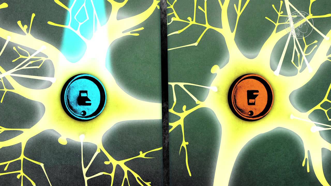 Optogenetics - light gets on your nerves