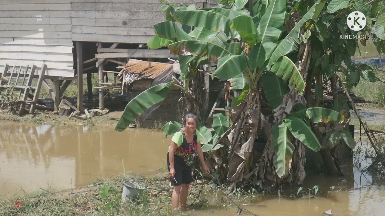 profil desa wawoone, kecamatan wawonii selatan, kabupaten konawe  kepulauan