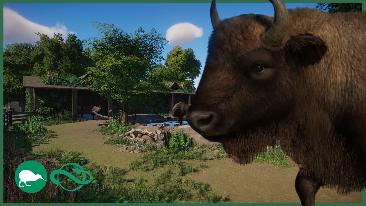 🦬wisent habitat | willow creek city zoo | episode 15 | planet zoo
