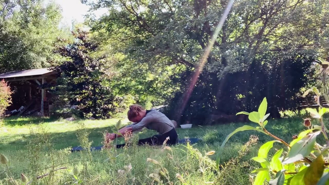 Afternoon Yoga with Sheep | Circle Yoga