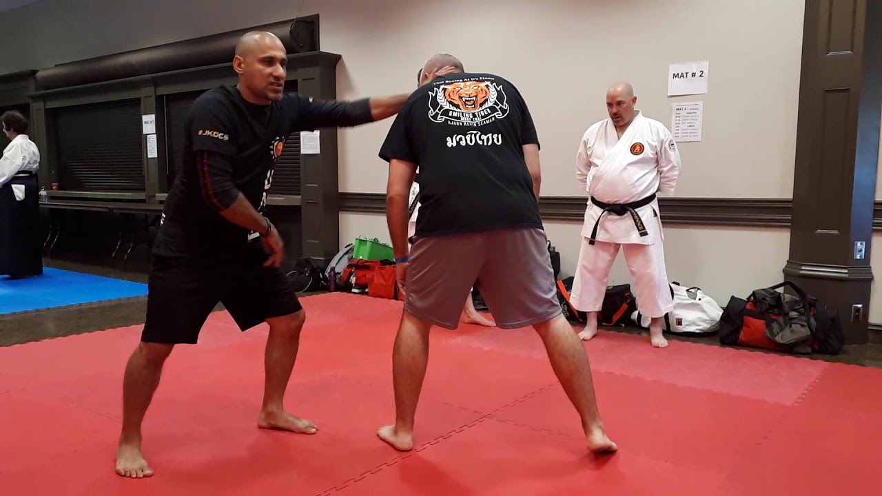 Sifu Mark Medeiros 1000 Islands Jiu-jitsu Symposium 1/9  - Drive In VS Step Out