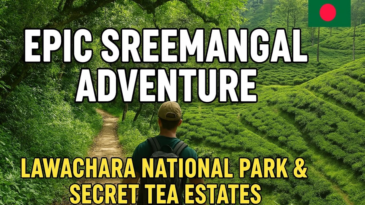 Epic Sreemangal Adventure 🇧🇩 | Exploring Lawachara National Park & Secret Tea Estates of Bangladesh