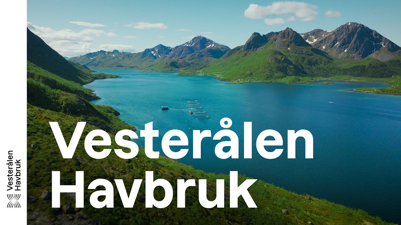 Vesterålen Havbruk