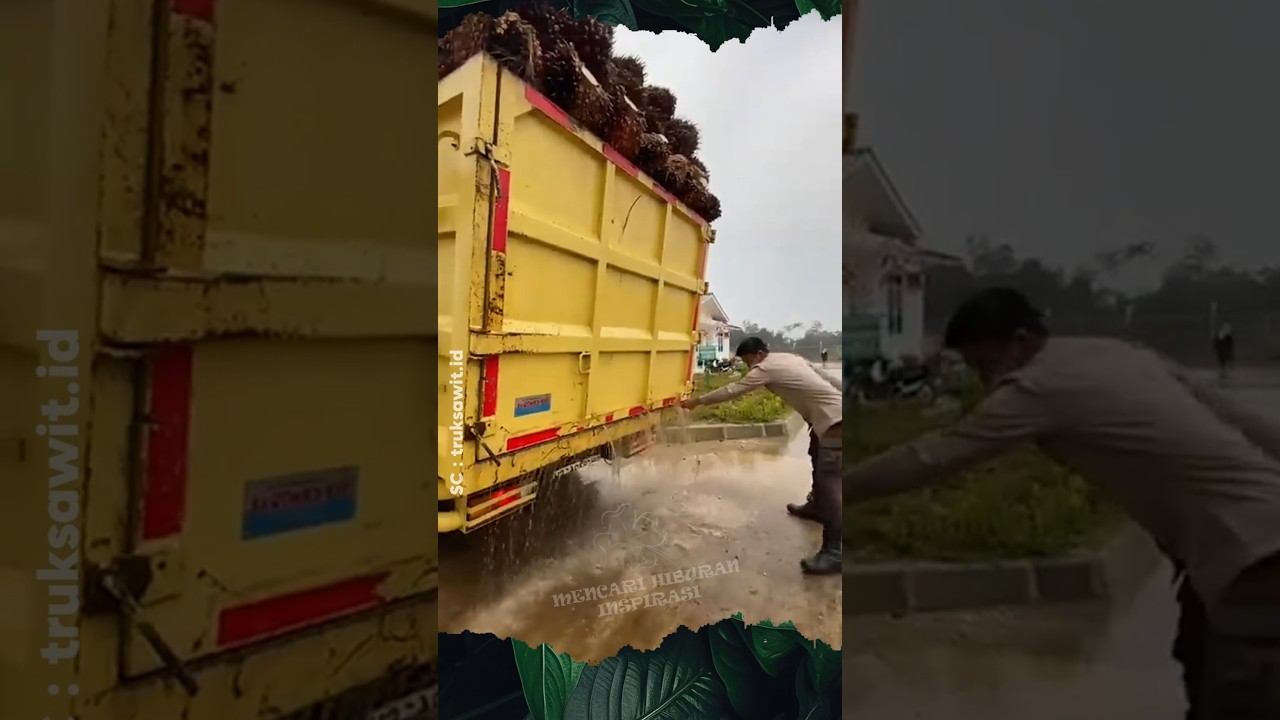 Air Mengucur Deras Dari Bak Truck Sawit #sawit #buah #pabrik #shrots