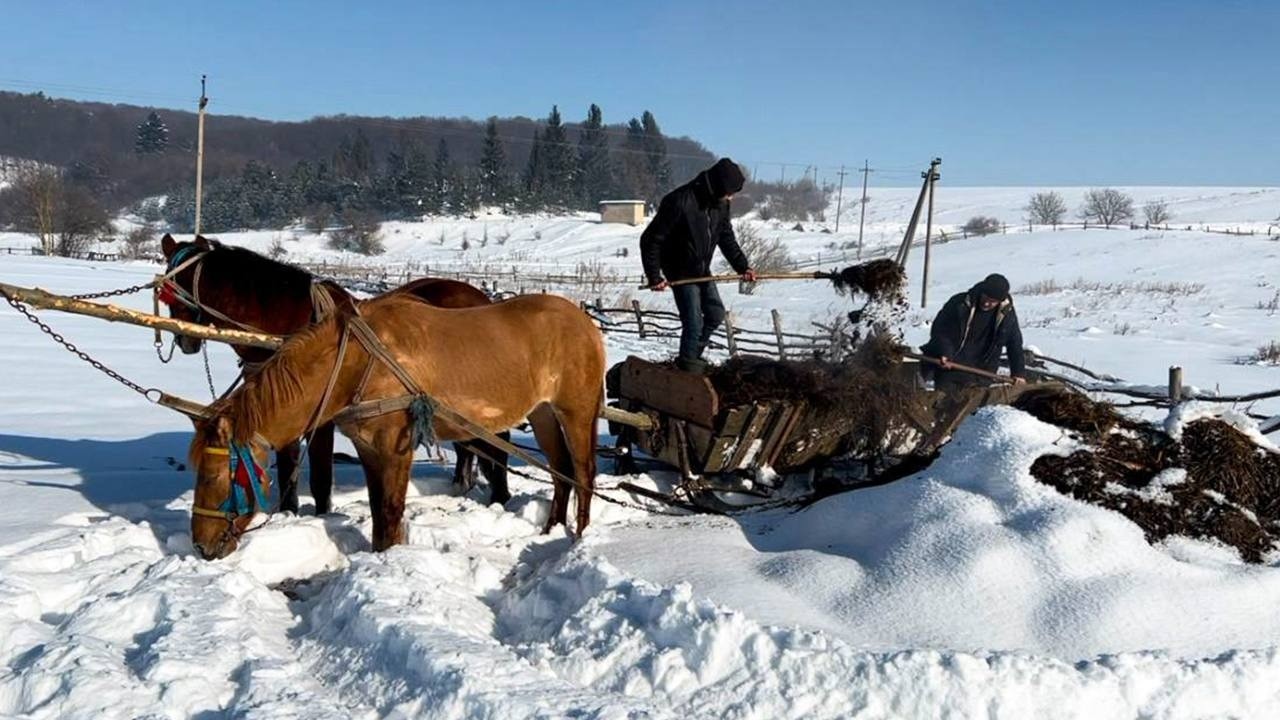 Exploring Rural Life in the Snow-Covered Carpathian Mountains