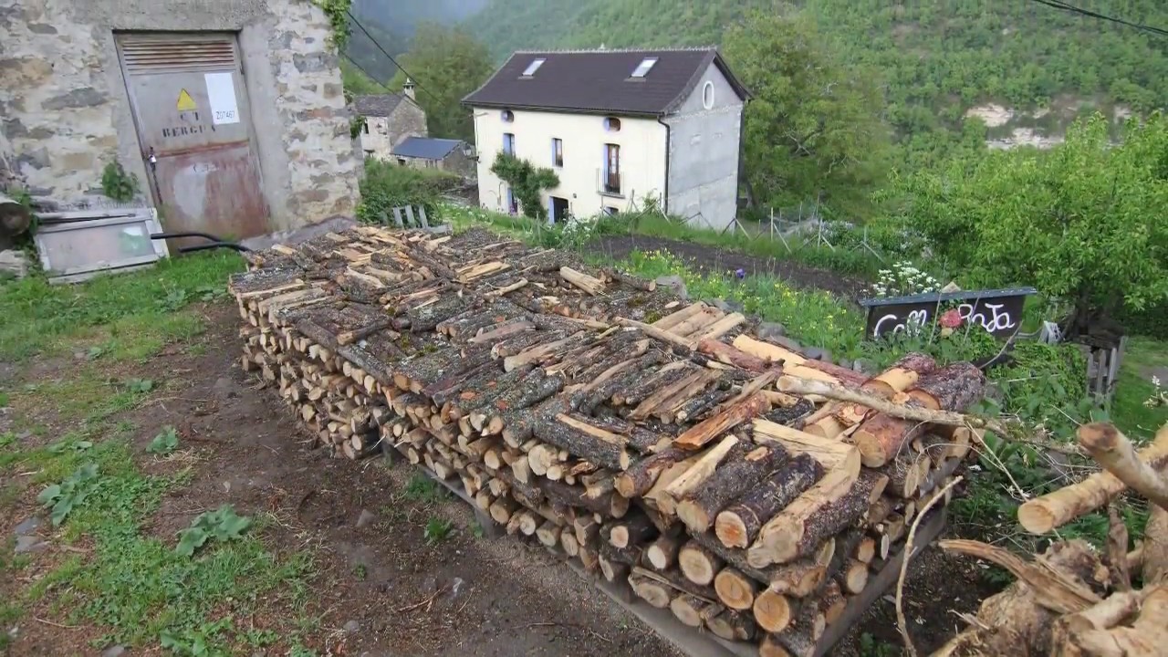 Bergua