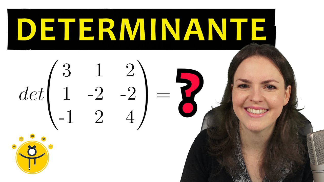 DETERMINANTE 3x3 Matrix berechnen – Regel von Sarrus, Matrizen, Beispiele
