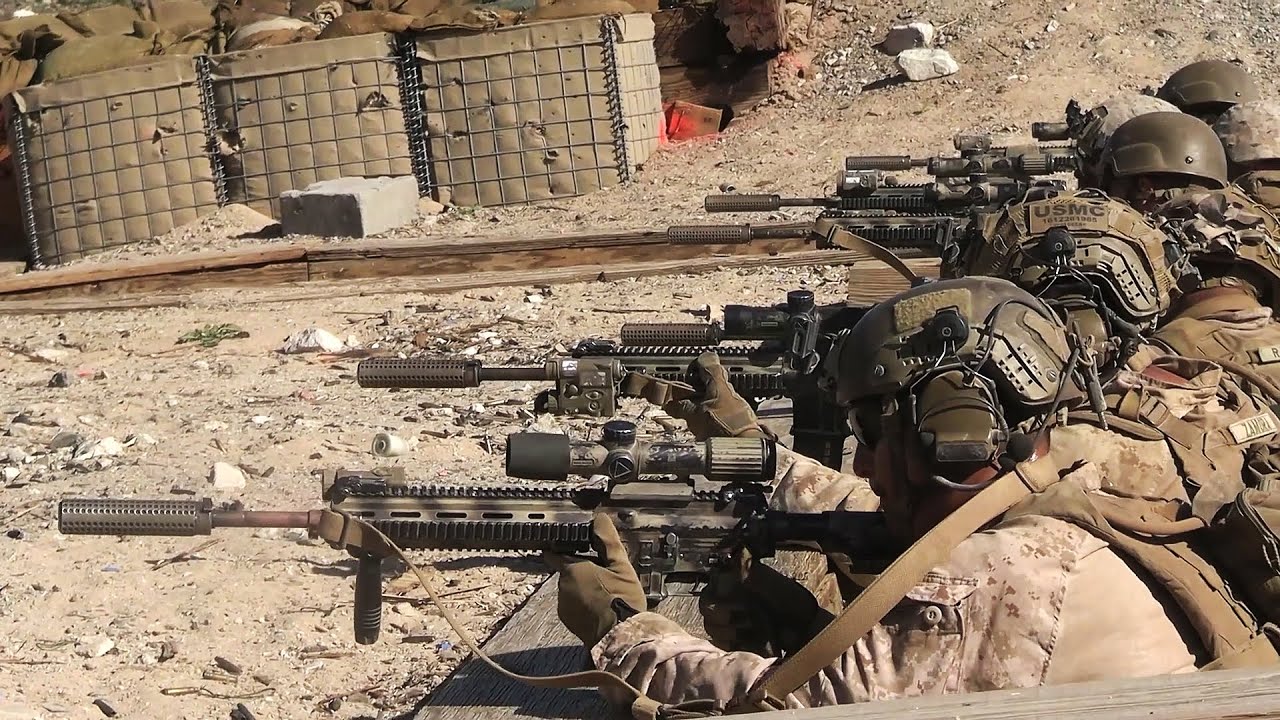 U.S. Marines Conduct Live-Fire Platoon Attack (Jan 2026)