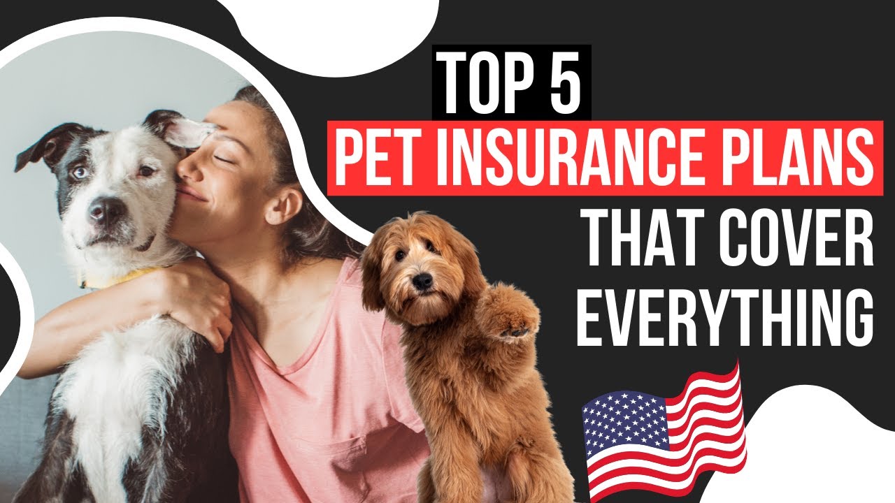 Top 5 Pet Insurance Plans That Cover EVERYTHING! 🐶🐱 (Best Pet Insurance in the USA)