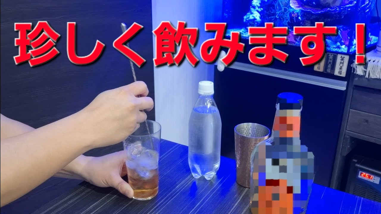 【てづ晩酌】バーボンウイスキー飲んでみる！【ハイボール】