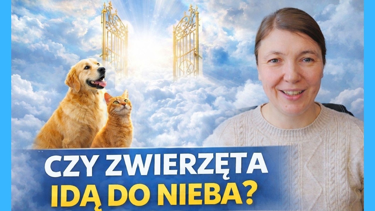 NIEBO DLA ZWIERZĄT? W NAUCE KOŚCIOŁA KATOLICKIEGO!