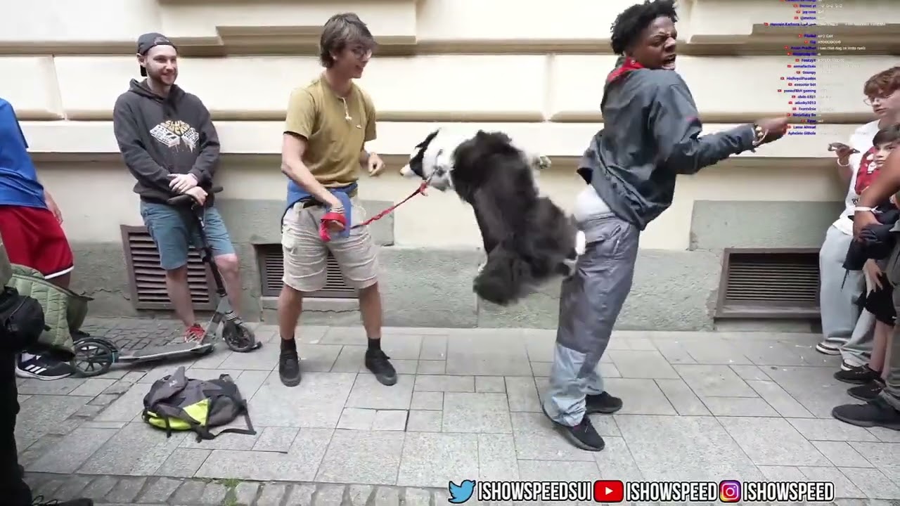 Dog Takes off ISHOWSPEED Pants 😂