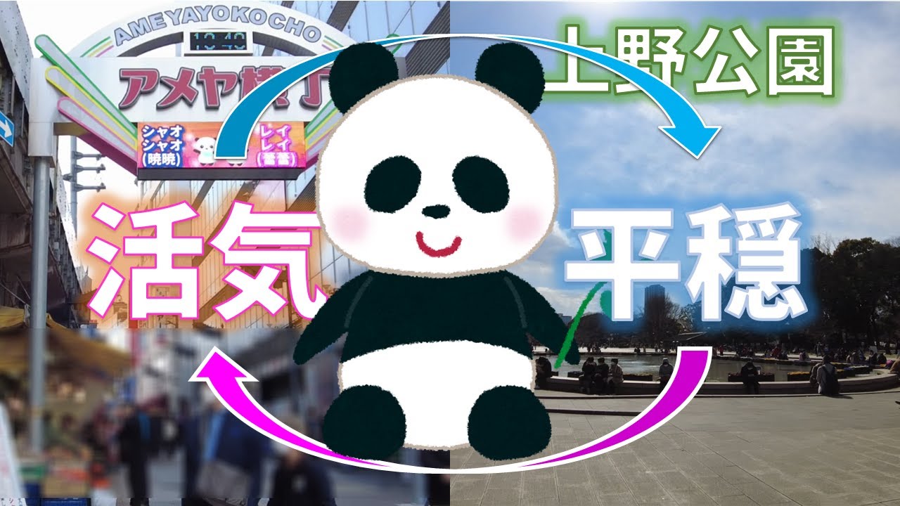 【上野】上野公園&アメ横を散策♪