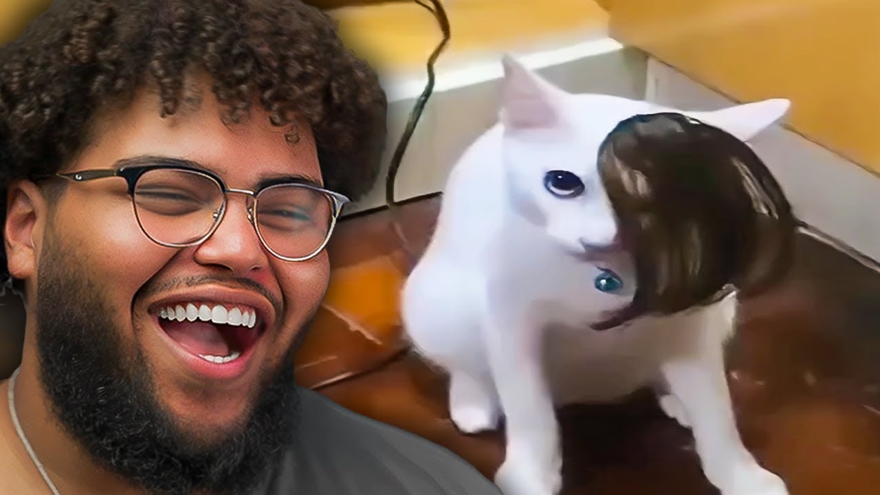 Смеешься &mdash; теряешь клетки мозга