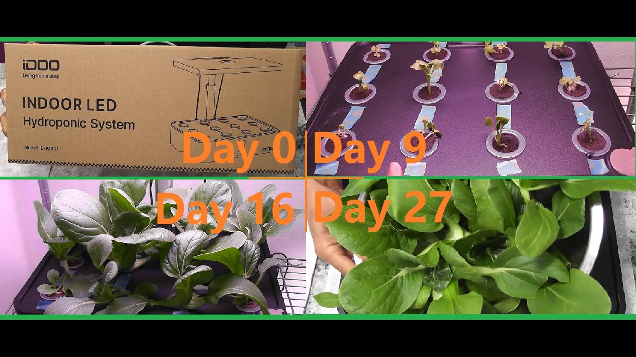 iDoo 12 pod hydroponic system unboxing, assembly, review, and comparison with Aerogarden