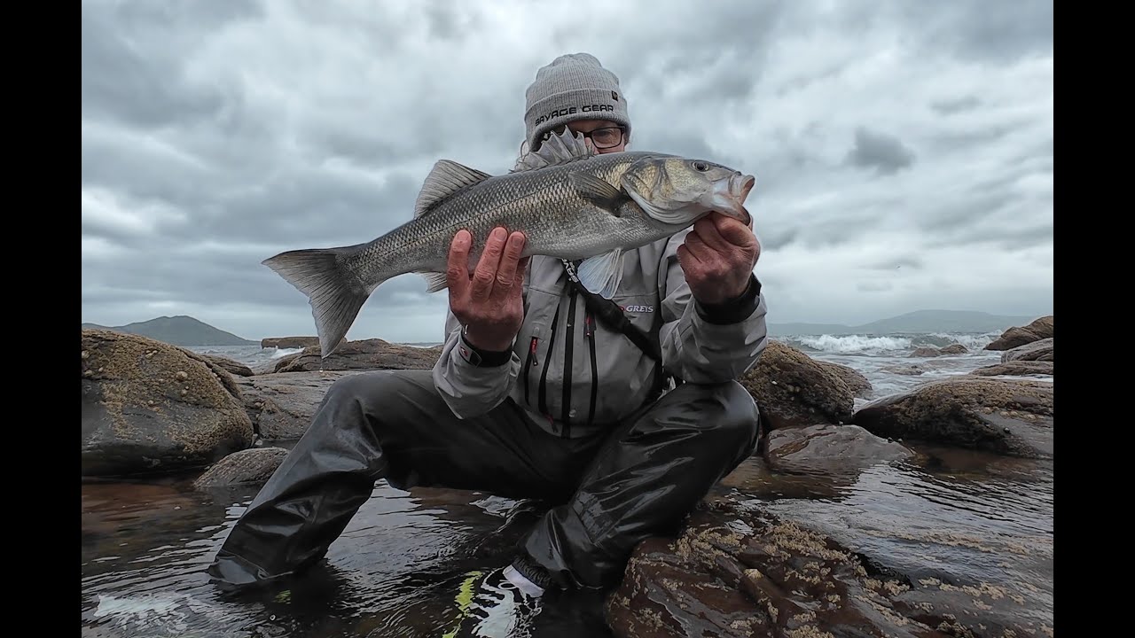 The angriest bass I've ever caught? Savage Gear Gravity Stick Paddletail does it again.........