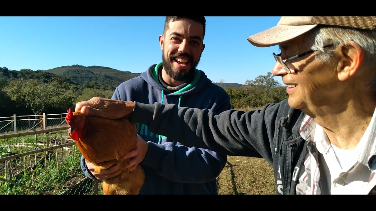 82 ANOS FIRME NA ENXADA - HORTA ORGANICA EM MANDALA COM GALINHEIRO - SEU VALDEMAR