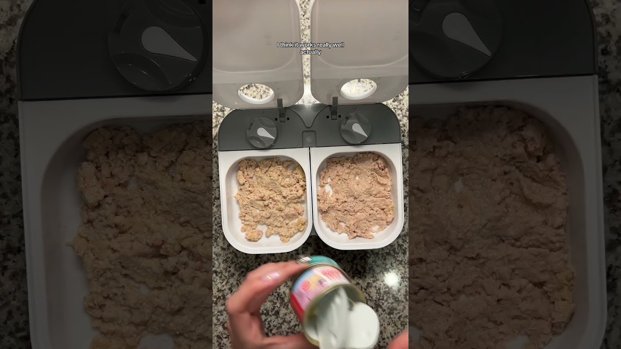 Part 1 - Sunday&rsquo;s Automatic Cat Food Feeder and How it works 🫶 #catfood #cat #kitten #kittenfood