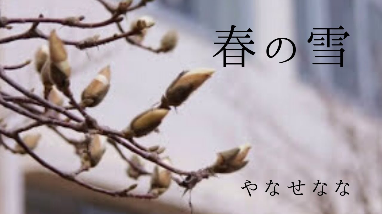 やなせなな／Nana Yanase　春の雪