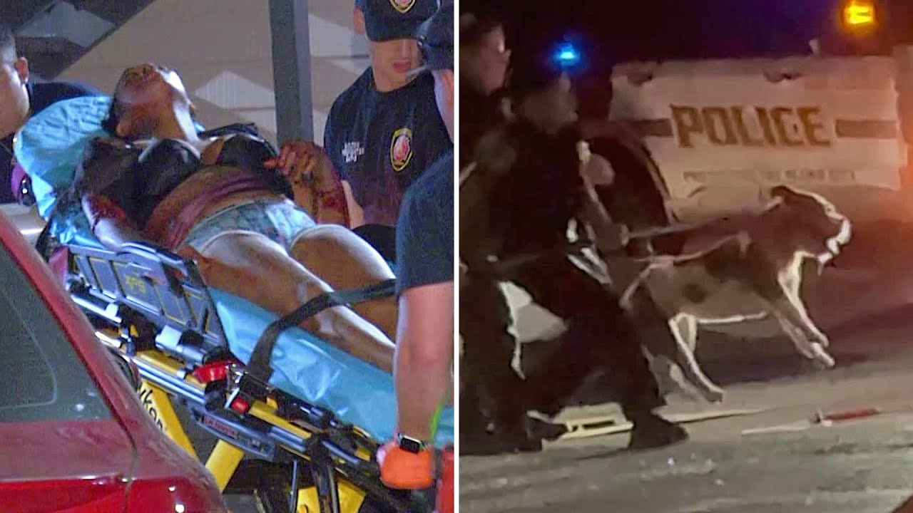 Woman critically injured in pit bull attack at San Antonio apartment