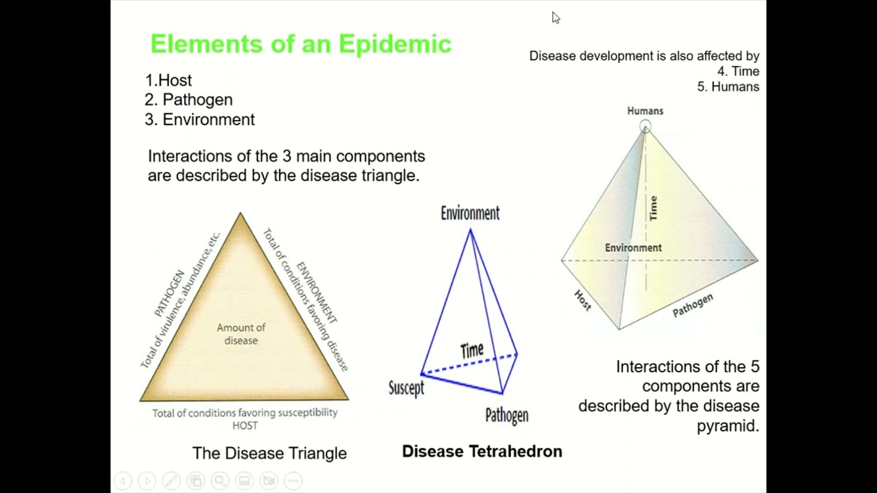 Plant Disease Triangle, Disease Tetrahedron and Disease Pyramid, Disease epidemiology