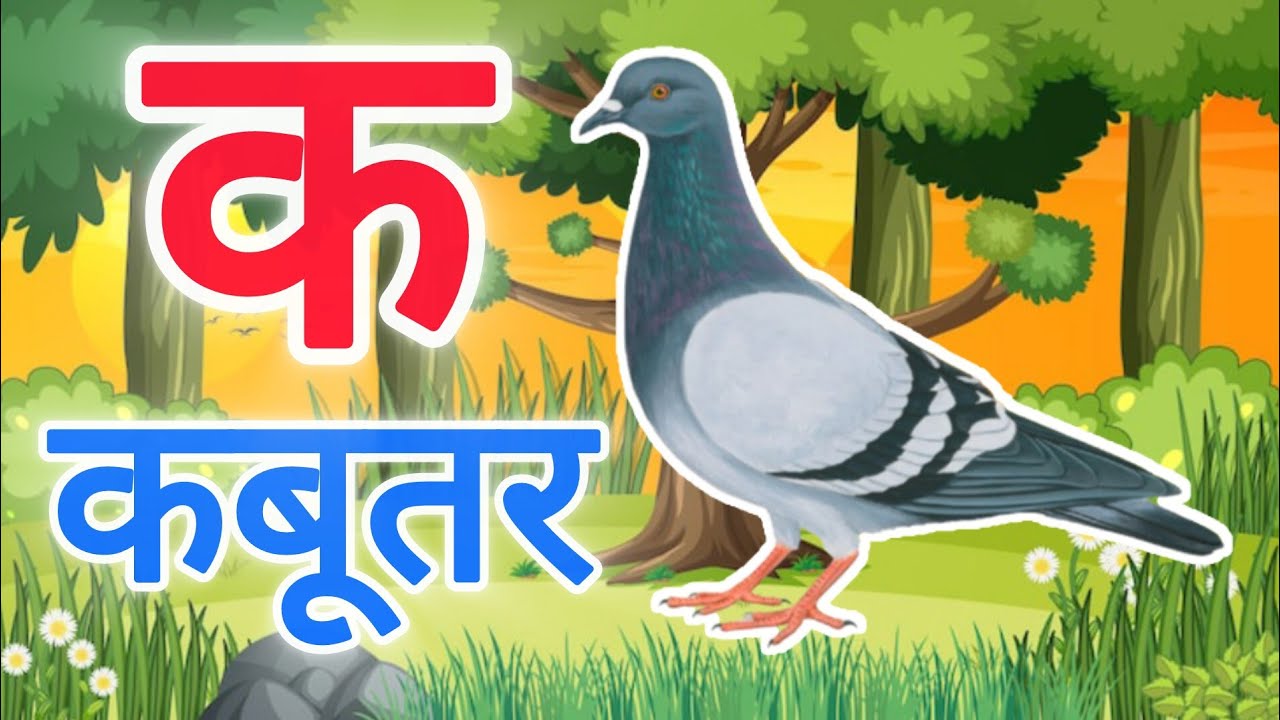 क से कबूतर,अ से अनार a se anaar k se kabutar | Hindi varnmala | ABCD क से कबूतर अ से अनार, for kids