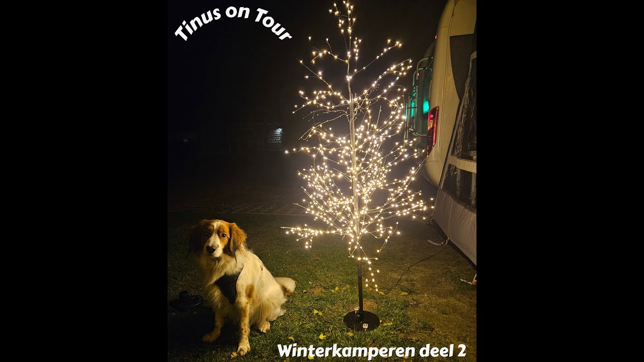 Vlog 33 Winterkamperen deel 2
