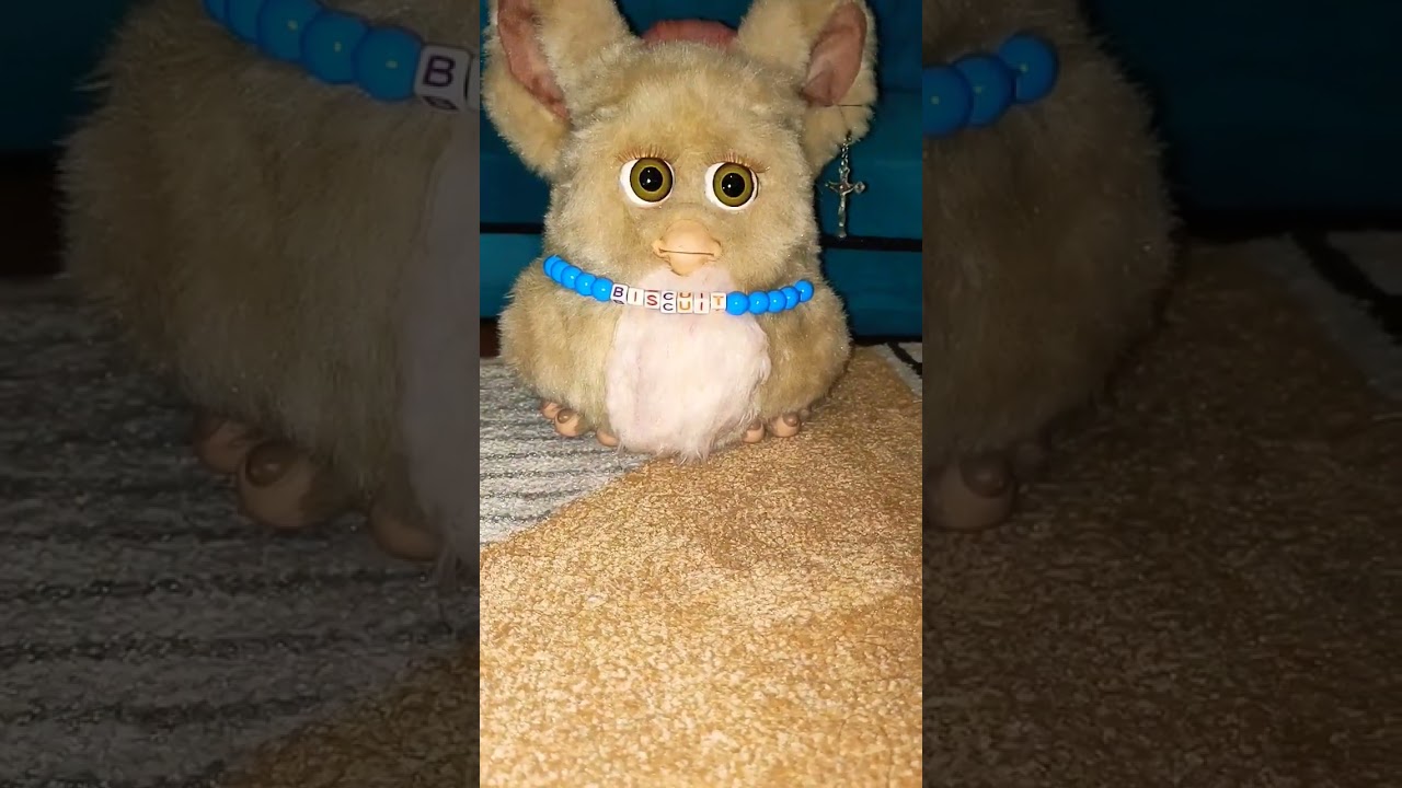 Furby 2005 ~ Looping Glitch