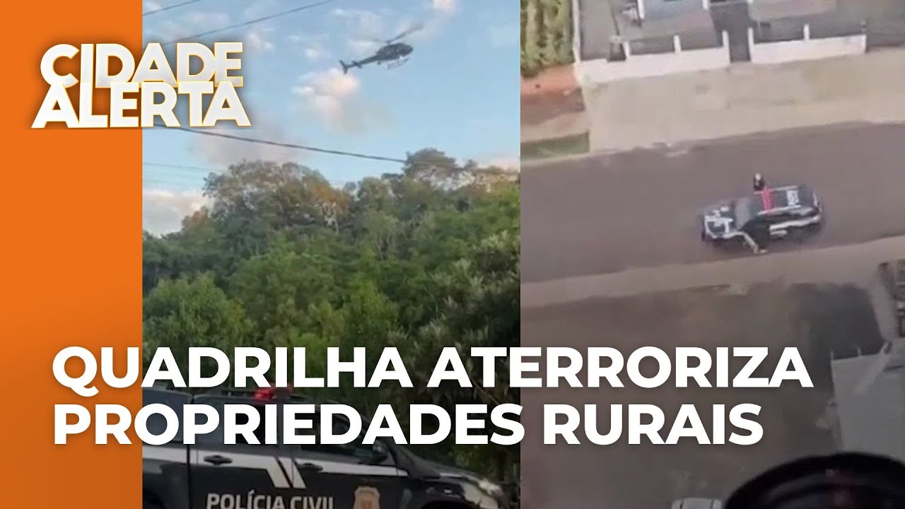 Operação policial mira em quadrilha que aterroriza propriedades rurais furtando gado, no PR