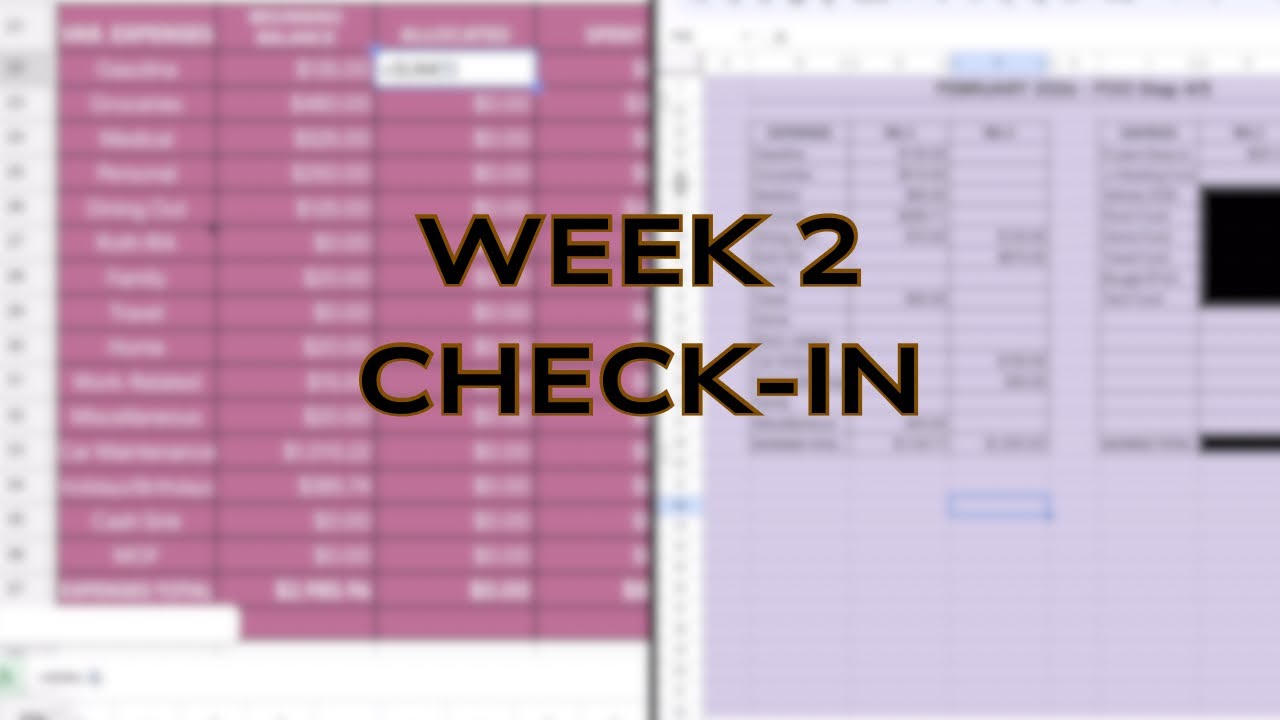 Weekly Budget Check-in | February Week 2 | 2026
