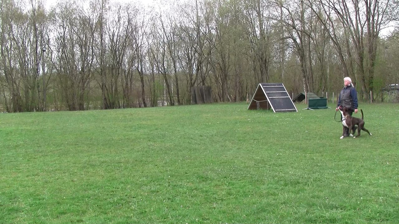 Skudtr&aelig;ning