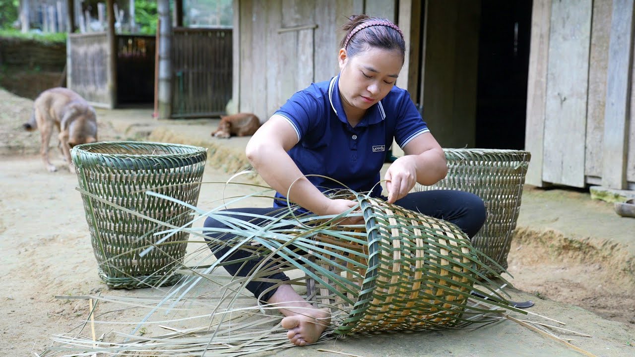 65 Days Build life, Weave bamboo baskets - Harvest vegetables & fruits - cooking.