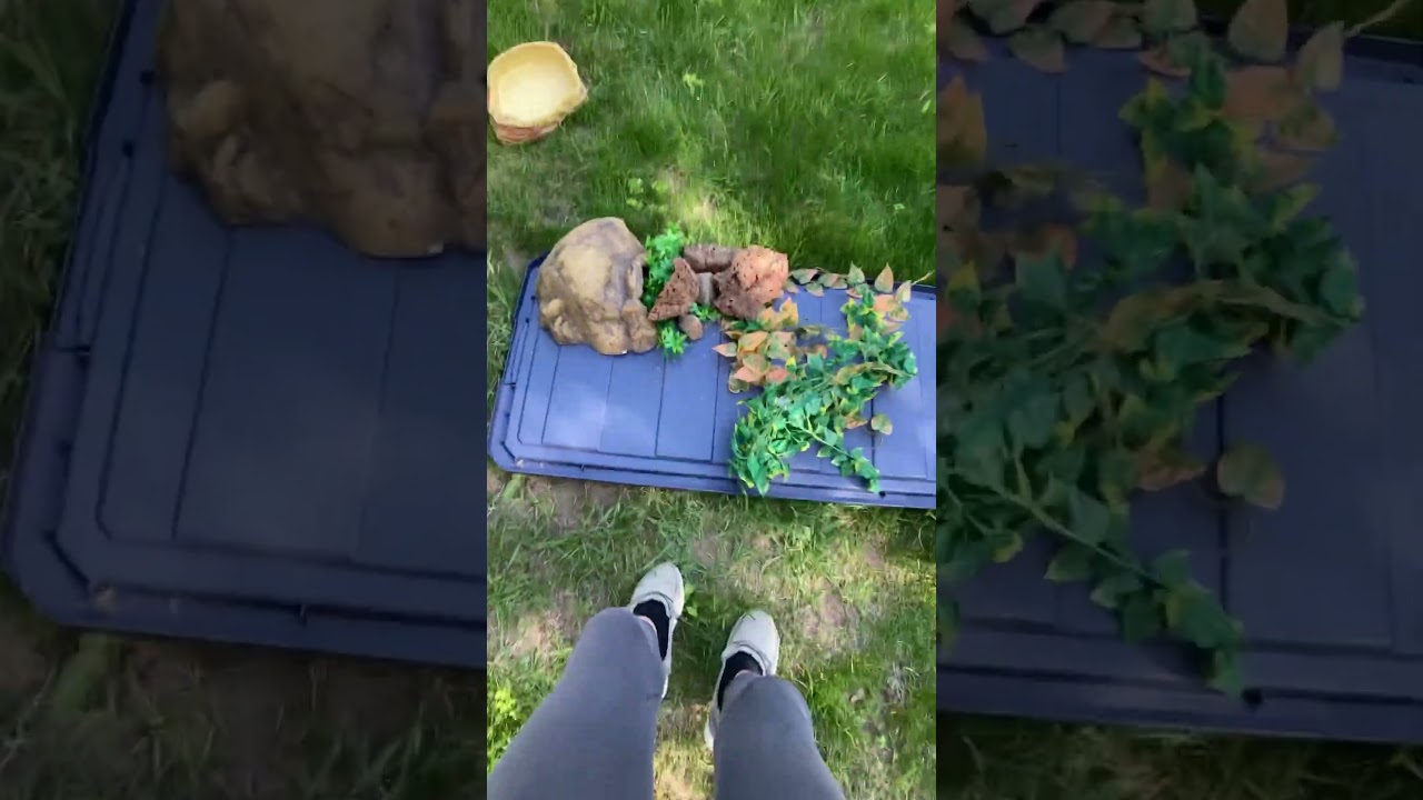Cleaning my snake cage | (Pt1) 