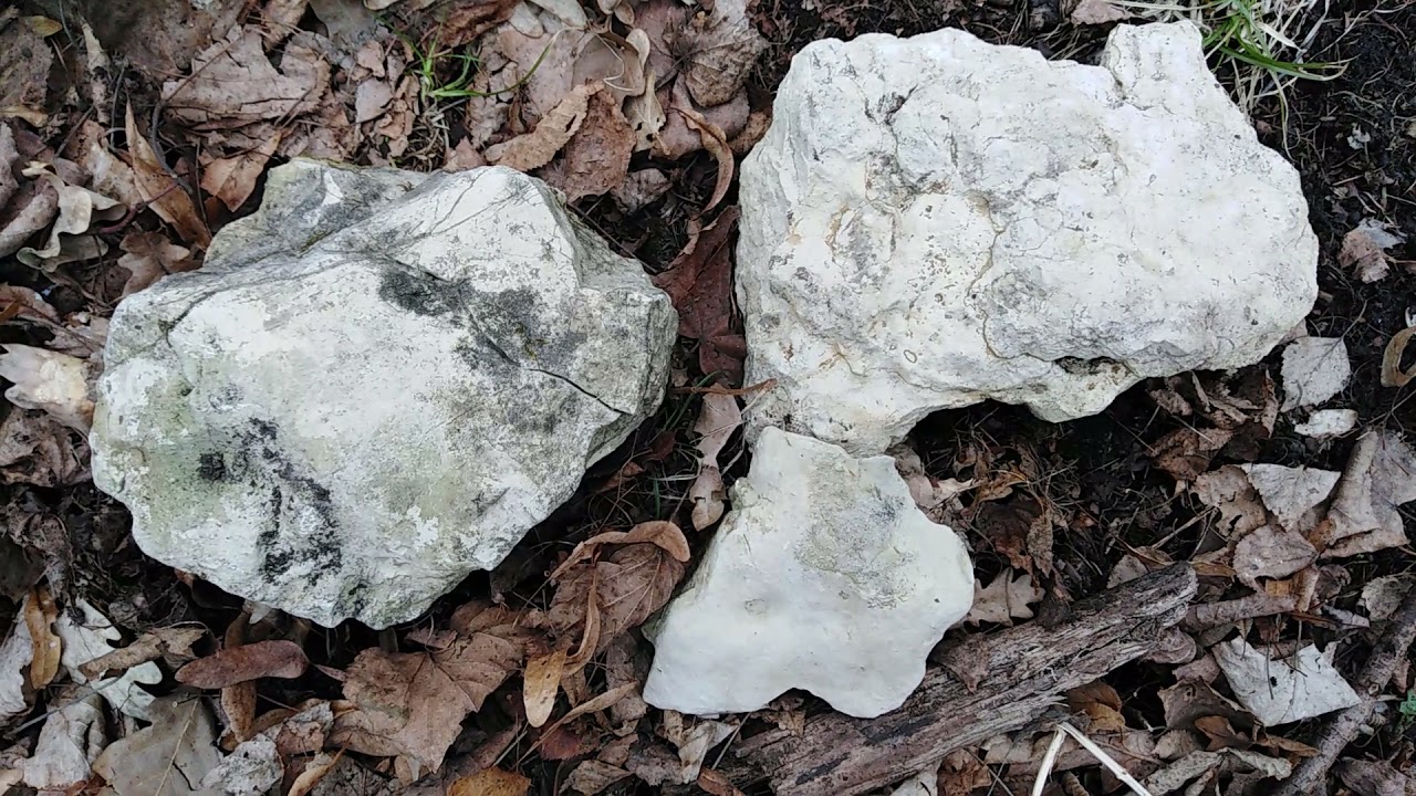 Kamienie2(filmik z zapytaniem do kolegi Paleostone).
