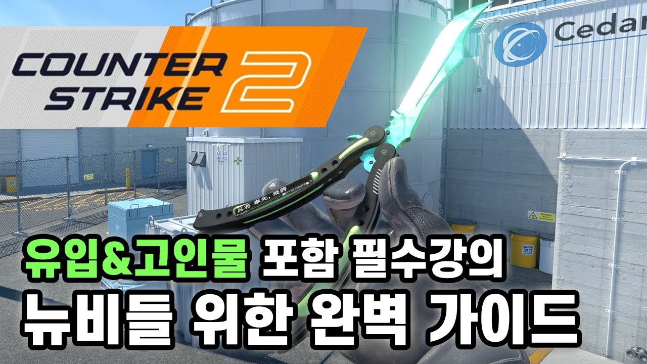 카스2 나보다 잘하는 새X 없다 (기초 가이드영상)