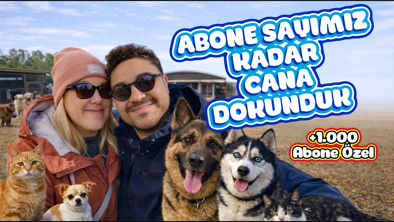 1.000 Abone İçin 1.000 Cana Dokunduk! 🐾 🎉