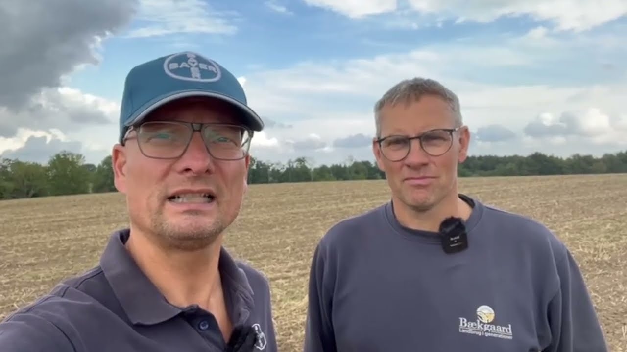 Status på en ny rapssæson