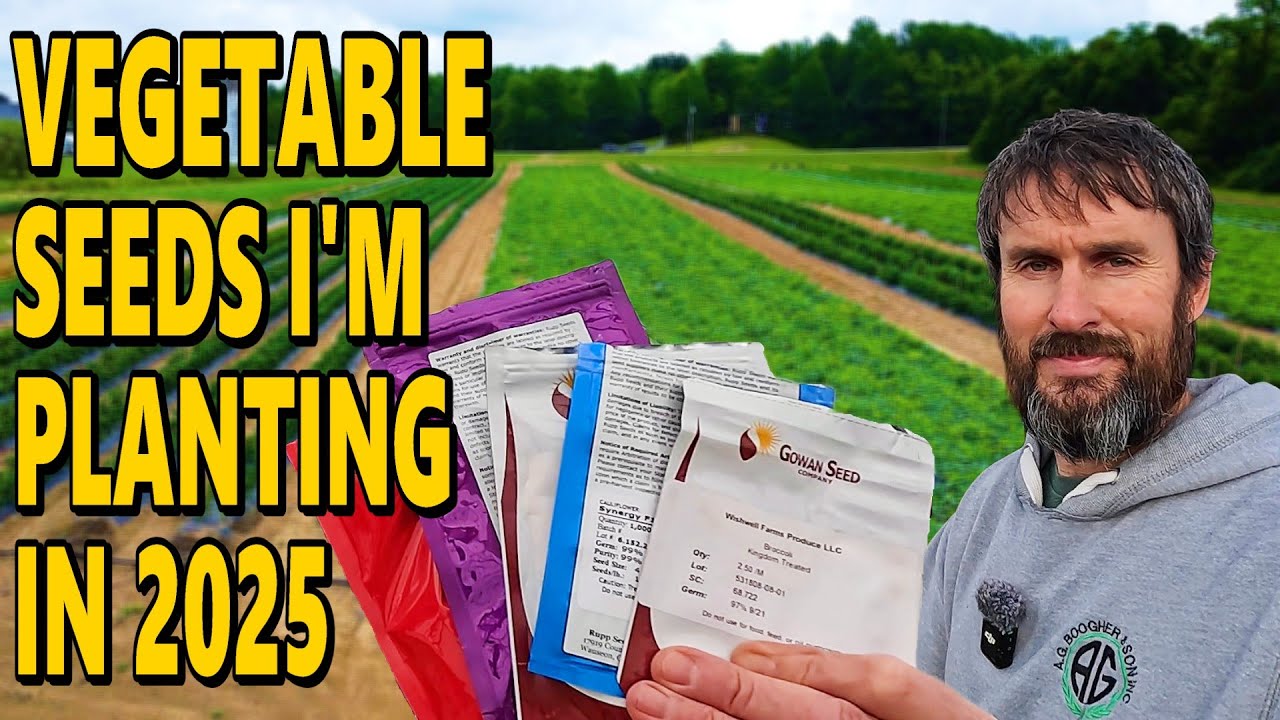 How To Choose the BEST Seeds For Your Vegetable Garden and Where You Should Buy Them!